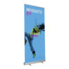 Mosquito Economy Banner Stands